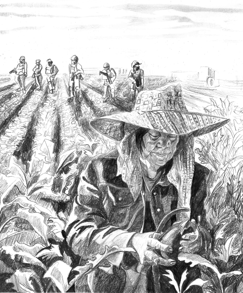 Caught on the threshold: Undocumented immigrant workers in a California farming&nbsp;town